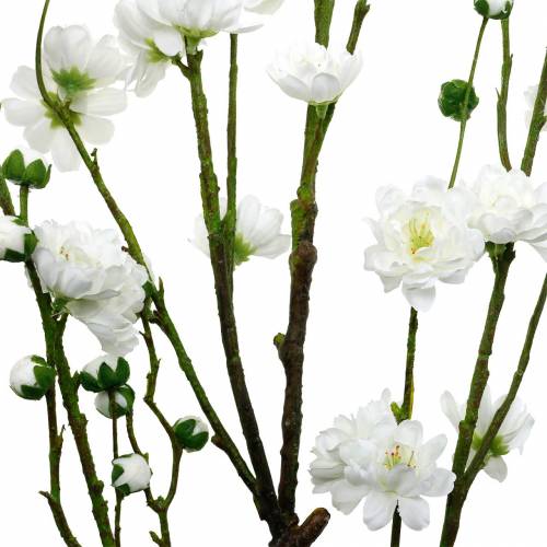 Floristik24 Kirsebærblomstgren hvid kunstig dekorativ gren kirsebærblomstforårsdekoration