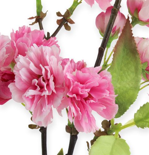 Floristik24 Kirsebærblomstgren i lyserød 77 cm