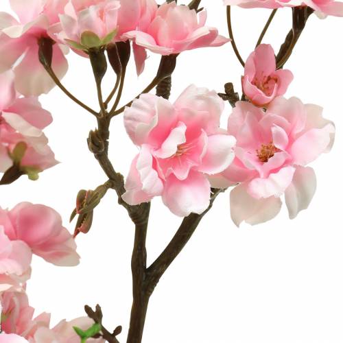 Floristik24 Kirsebærblomstgren pink 105cm