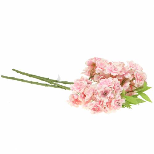 Floristik24 Kirsebærblomstgren pink 44cm 3stk