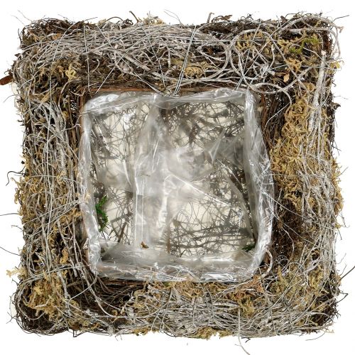 Floristik24 Hynde mos, vinstok 25cm x25cm