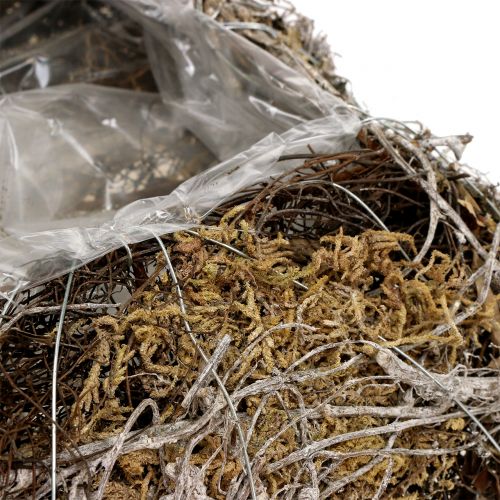 Floristik24 Hynde mos, vinstok 25cm x25cm