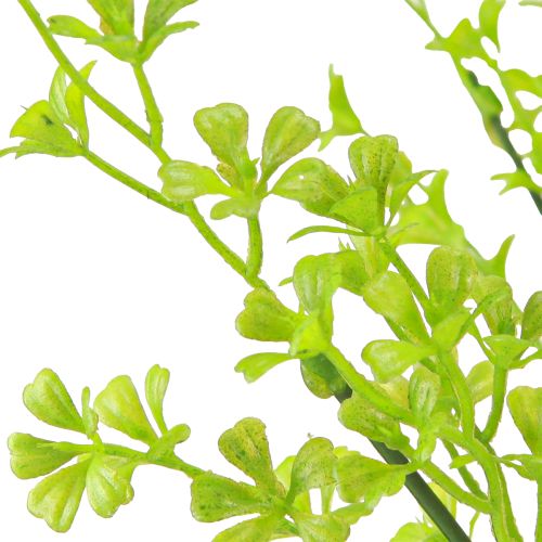 Artikel Kløver Dværg Kløver Kunstige Planter i Grøn på Pluk 49cm 2stk