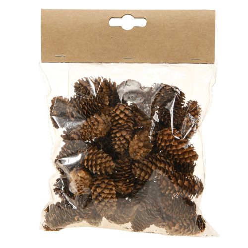 Floristik24 Små skarntydekogler dekorative naturlige kogler advent 3-4 cm 100 g
