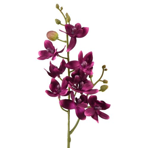 Lille orkidé Phalaenopsis kunstig blomst mørk lilla 30cm