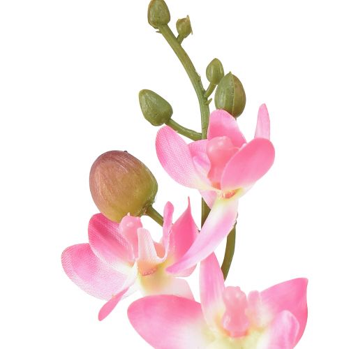 Artikel Lille Orkidé Phalaenopsis Kunstig Blomst Pink 30cm