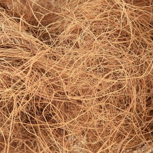Floristik24 Kokosfiber naturlig plantefiber naturfiber håndværksmateriale 1 kg