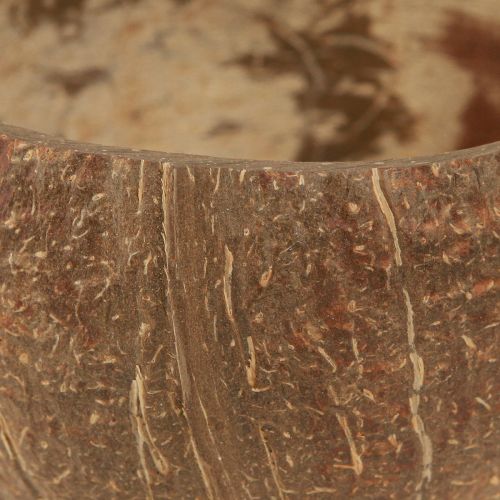 Artikel Kokosskål naturlig dekorativ kokosskål halveret 10cm 6 stk