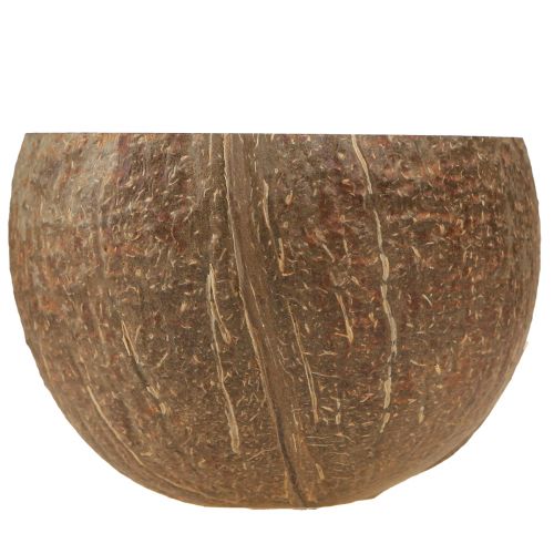 Artikel Kokosskål naturlig dekorativ kokosskål halveret 10cm 6 stk