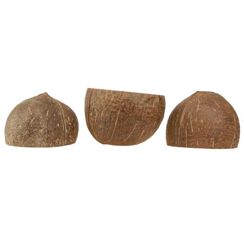 Artikel Kokosskål naturlig dekorativ kokosskål halveret 10cm 6 stk