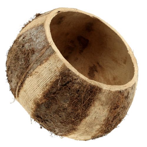 Artikel Coconut shell naturlig 5stk