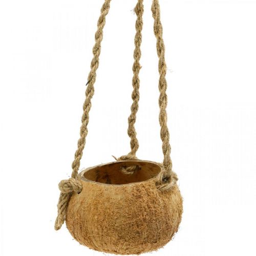 Artikel Hængende kokosskål, naturlig planteskål, hængekurv Ø8cm L55cm