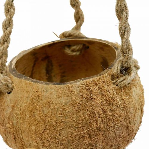 Artikel Hængende kokosskål, naturlig planteskål, hængekurv Ø8cm L55cm