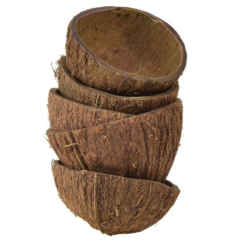Kokosskål dekoration naturlige halve kokosnødder Ø7-9cm 5 stk