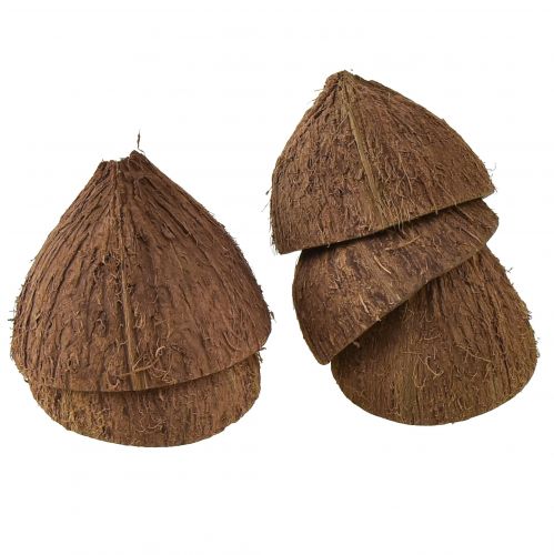 Floristik24 Kokosskål dekoration naturlige halve kokosnødder Ø7-9cm 5 stk