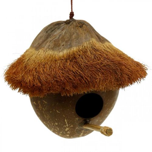 Floristik24 Kokosnød som redekasse, fuglehus at hænge, kokosnøddekoration Ø16cm L46cm