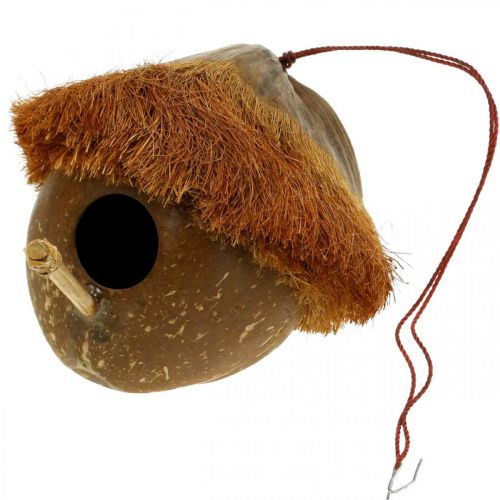 Floristik24 Kokosnød som redekasse, fuglehus at hænge, kokosnøddekoration Ø16cm L46cm