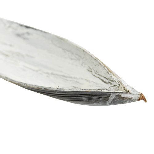 Artikel Kokosskal kokosblad vasket hvid 60cm