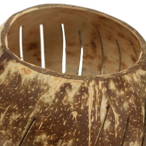 Artikel Kokosnøddeskal poleret med striber naturlig Ø12cm - Ø14cm 1p