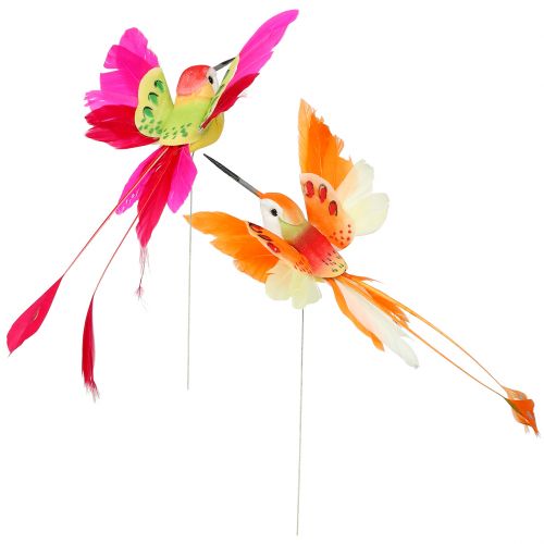 Floristik24 Kolibri på wiren for at tilslutte lyserød, orange 17 cm 6stk