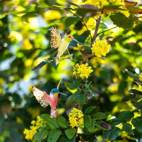 Floristik24 Hummingbird med wire 5,5cm L22cm assorteret 12stk