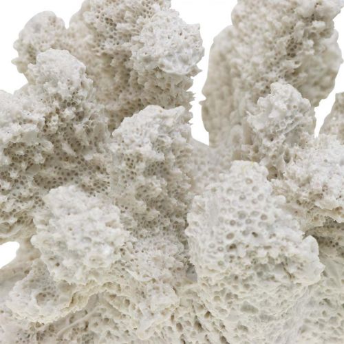 Floristik24 Maritim dekoration koralhvid kunstig polyresin lille 13,5x12 cm
