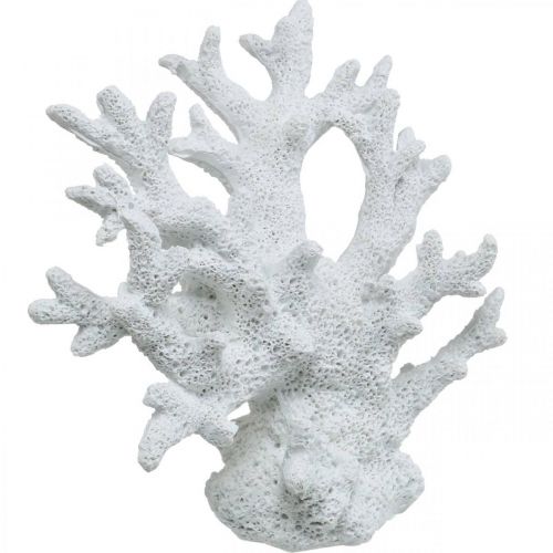 Floristik24 Maritim dekoration koralhvid sommerdekoration 14,5×14,5cm