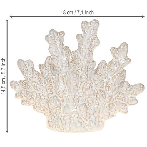 Artikel Koraldekoration keramik maritim borddekoration beige H14,5cm