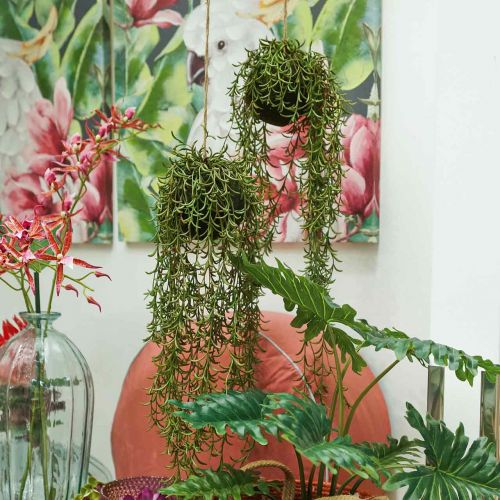 Floristik24 Koralkaktus kunstig Rhipsalis bøjle 90cm