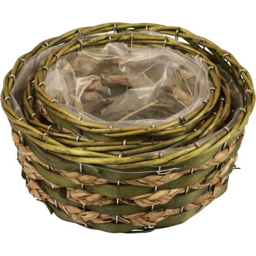 Floristik24 Kurv plantekurv flettet grøn 30×24/26×20/22×15cm sæt med 3 stk.