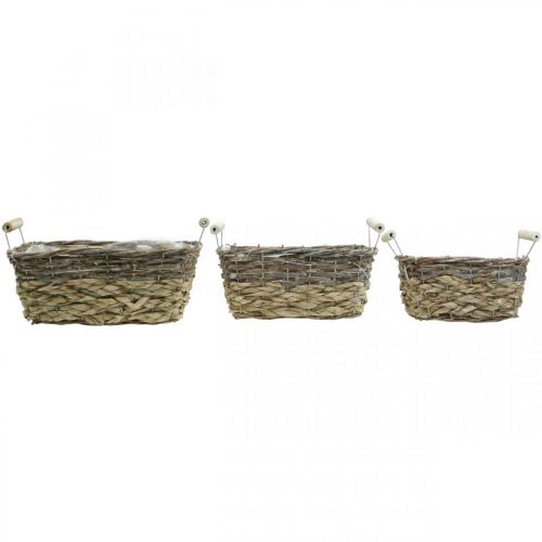 Artikel Plantekurv med hanke, firkantet kurveskål, naturlig plantekasse til plantning shabby chic vasket hvid L30/25,5/21 cm H12/11/10 cm sæt med 3