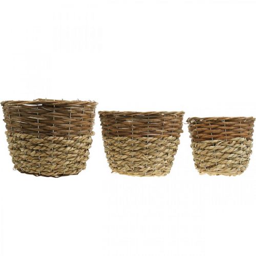 Artikel Blomsterkurv til plantning, plantekasse, fletkurv natur Ø27/25/20cm H20/18/17cm sæt med 3 stk.