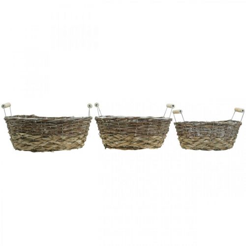 Artikel Naturkurv til plantning, kurv med håndtag, plantekasse shabby chic hvidvasket L31/27,5/24cm H12/11,5/10cm sæt med 3 stk.