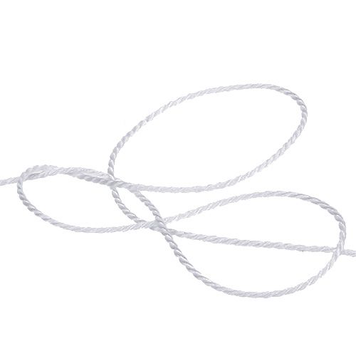 Floristik24 Snor hvid 2mm 50m