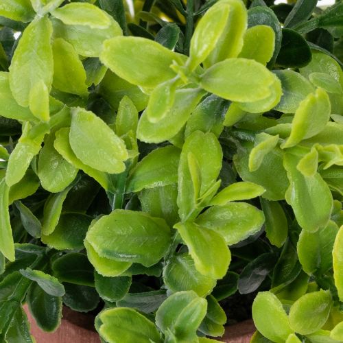 Artikel Kunstig plante i en urtepotte med realistisk tekstur til indendørs brug og dekoration, 18 cm, 3 stk.