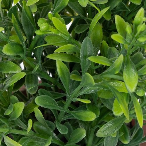 Artikel Kunstig plante i en urtepotte med realistisk tekstur til indendørs brug og dekoration, 18 cm, 3 stk.