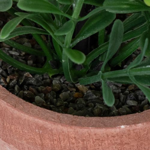 Artikel Kunstig plante i en urtepotte med realistisk tekstur til indendørs brug og dekoration, 18 cm, 3 stk.