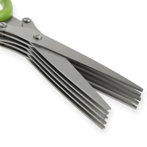 Floristik24 Purløgssaks med 5 blade