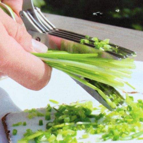 Floristik24 Purløgssaks med 5 blade