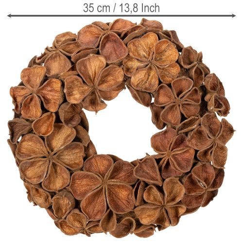 Tørret lotuskrans, dekorativ dørkrans, 35 cm | Floristik24.dk