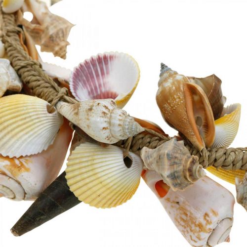 Floristik24 Dekorative kranseskaller og snegle naturlig maritim dekoration Ø30cm