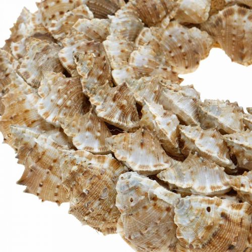 Floristik24 Deco kransesnegle Maritim dekoration dørkrans søsnegle Ø25cm