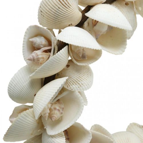 Floristik24 Maritim krans, havdekoration, dekorative kranseskaller og sneglehuse natur Ø26,5cm