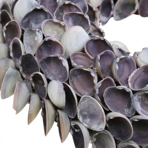 Floristik24 Skalkrans, violet chippy naturskaller, ring lavet af skaller Ø25cm