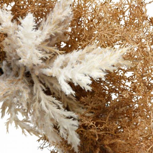 Artikel Deco krans kunstig pampas græscreme, brun dørkrans Ø60cm