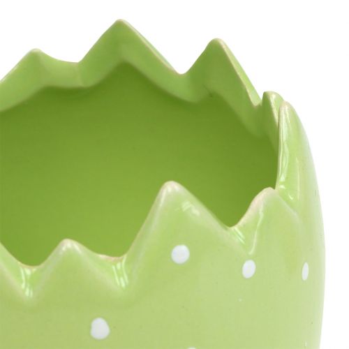 Floristik24 Blomsterpotte æggeskal Ø8cm H8.5cm 8stk