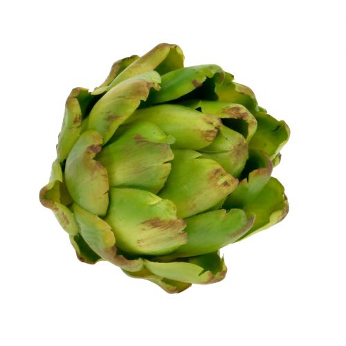 Floristik24 Kunstig artiskok Ø10cm H11cm