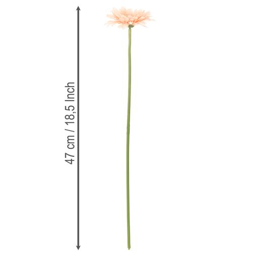  | Floristik24.dk