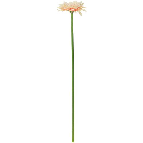Artikel Kunstige blomster Gerbera Abrikos 47cm