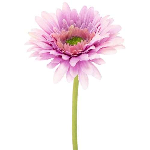 Kunstige Gerbera Haveblomster, Lilla, 47 cm, 6 stk. købe | Floristik24.dk